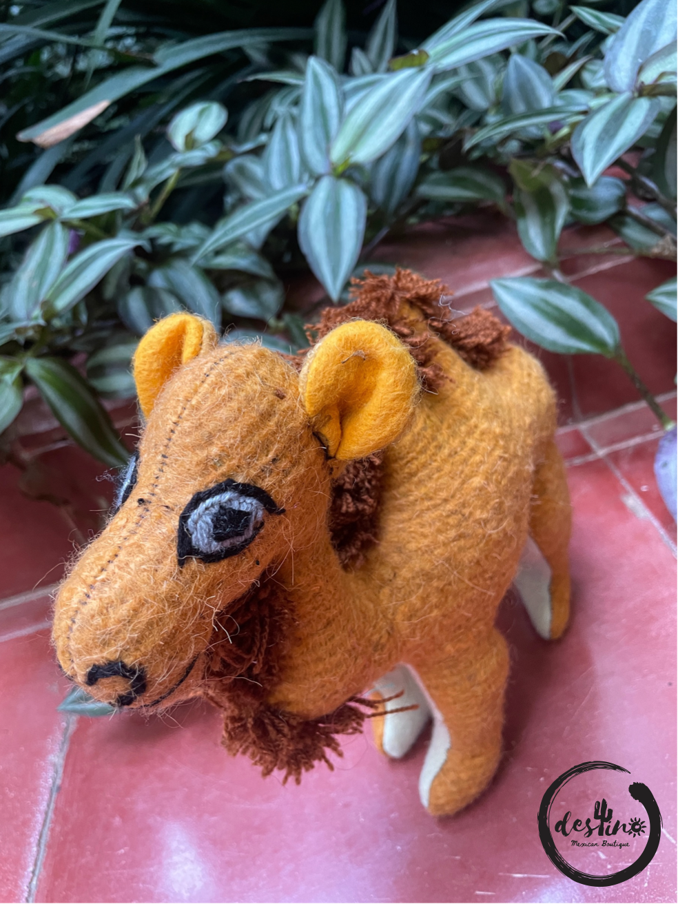 El Camello